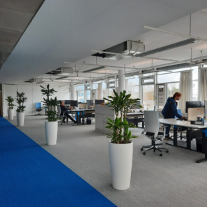 Fire Protection Solutions Brandschutz Feuerschutz 6 300x300 Fire Protection Solutions Brandschutz Feuerschutz 6 300x300